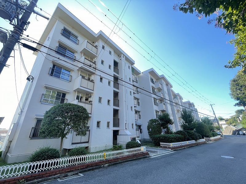 s-IMG_2779 s-IMG_2779